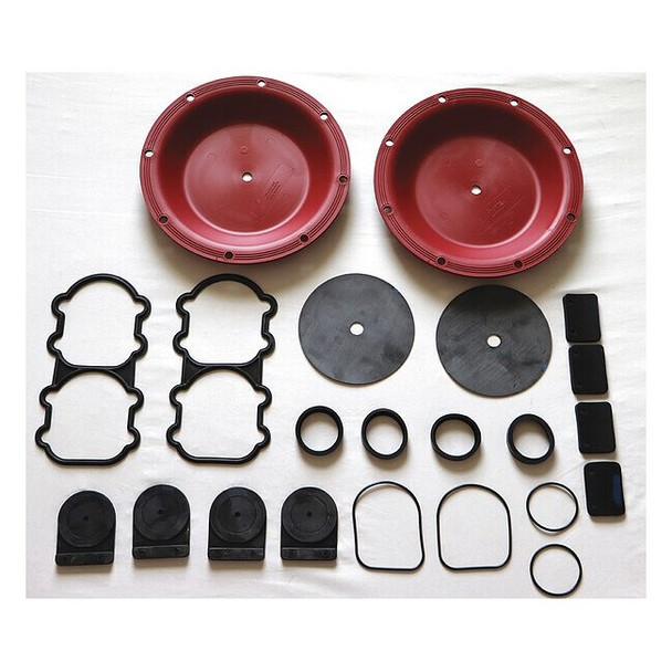 Sandpiper Fluid End Repair Kit, Flap, 2 in 476.354.677
