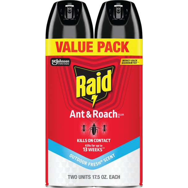 Raid 17.5 Oz. Aerosol Spray Ant & Roach Killer (2-Pack) 77692