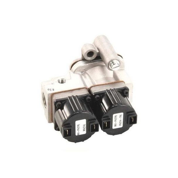 Groen Natural Gas Valve Z098443