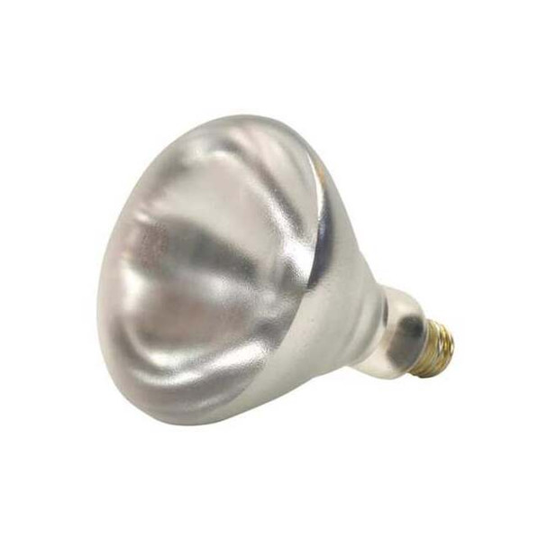 SHAT-R-SHIELD 250W, R40 Incandescent Light Bulb Pack of 12