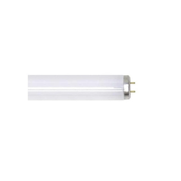 Ge Lighting Fluorescent Linear Lamp,T12,Cool,4100K F20T12/CW/ECO Pack of 24