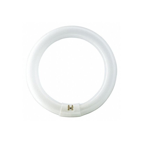Circular Fluorescent Lamp,8" Bulb Dia. Pack of 12