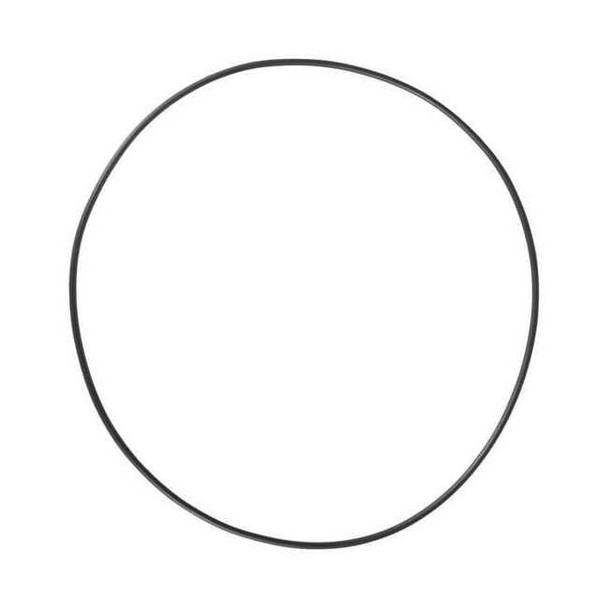 Dayton O-Ring,Viton PP60079G