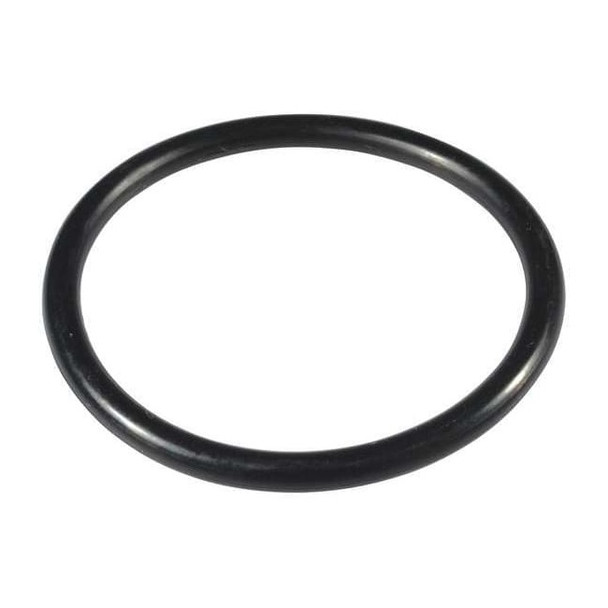 Dayton Cnvtbl O-Ring 11 PP2110400001G