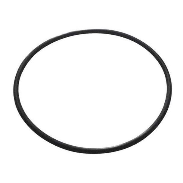 Dayton Pump Body O-Ring, Nitrile Rubber PP211010460-01G