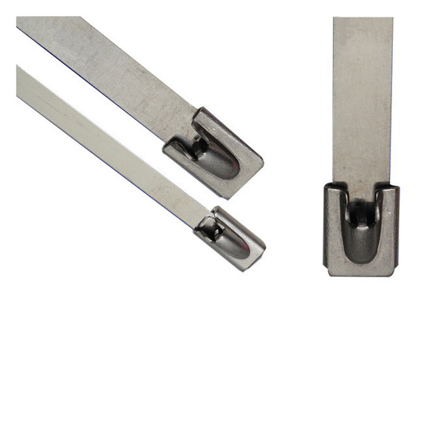 ACT Stainless Steel Cable Ties, 8", 316 SS (AL-08-100-SS-C)