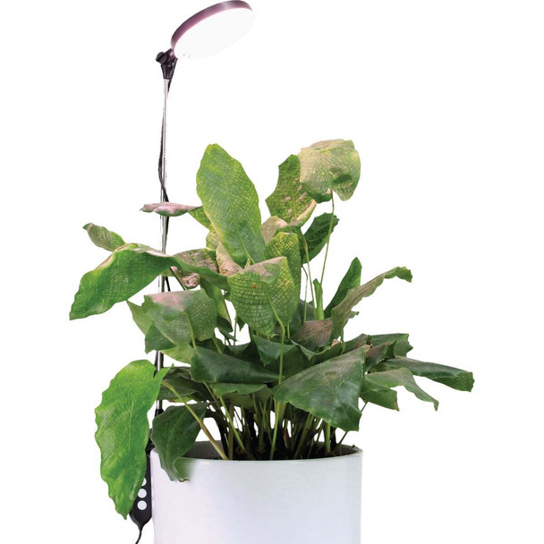Mossify 10W LED Black Adjustable Height LED Plant Light PLNTLT-0002