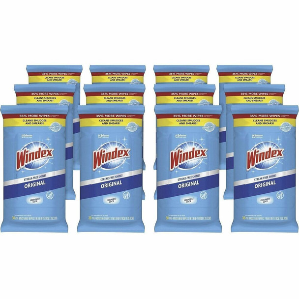 Windex&reg;  Multi-Surface Cleaner 378032CT