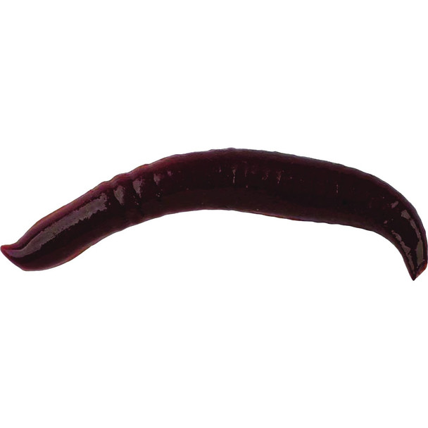 Berkley Gulp! 1 In. Pinched Crawler Nightcrawler (14-Pack) GHPC1-NC