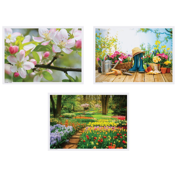 Hoffmaster 10" x 14" Spring Multipack Paper Placemats,PK1000 702076