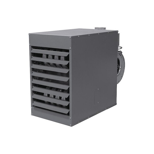 Gas Wall and Ceiling Unit Heater, NG, 150,000, 1,771 cfm, Belt, Blower, 1/2 in