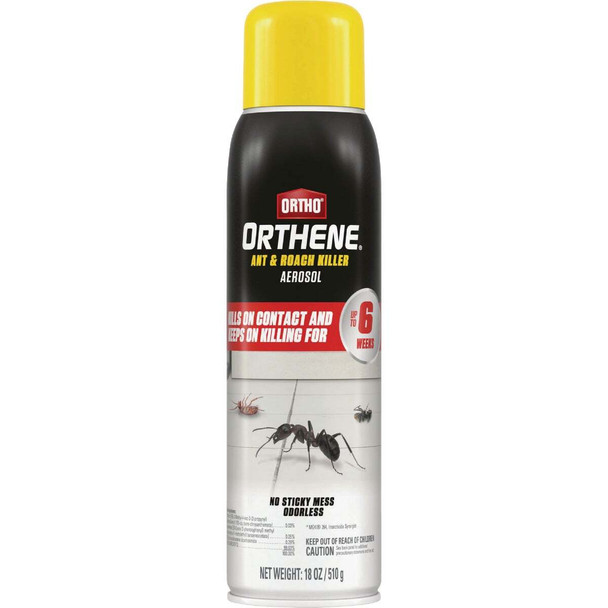 Ortho Orthene 18 Oz. Aerosol Spray Ant & Roach Killer 4662105
