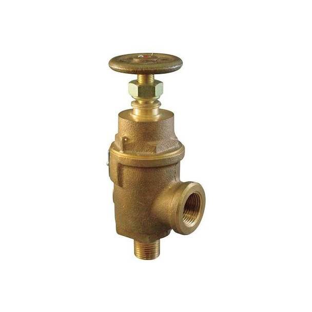 Kunkle Valve Adjustable Relief Valve,3/4 In,50 psi 0019-D10-MG0050