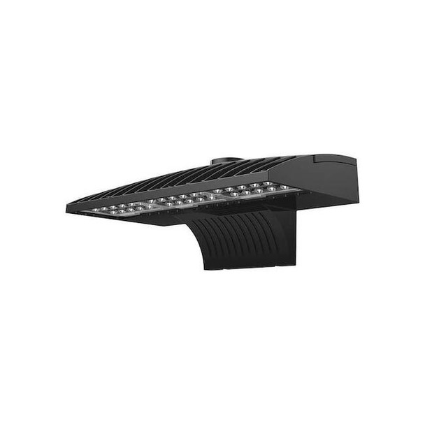 LED Area Light,73W,120-277V,5800L