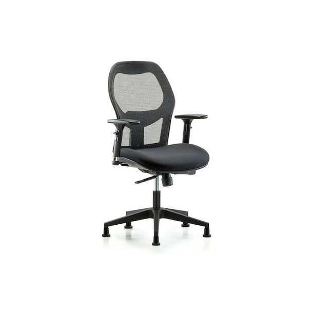 Executive Mesh Chair,3D,Arms Glides