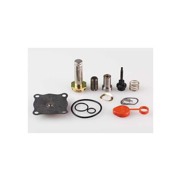 Asco Solenoid Valve Rebuild Kit 302450