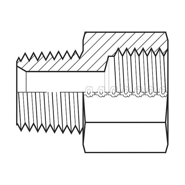 Adaptall Hose Adapter,1-1/4",NPT,1-1/4",BSPP 9037-2020