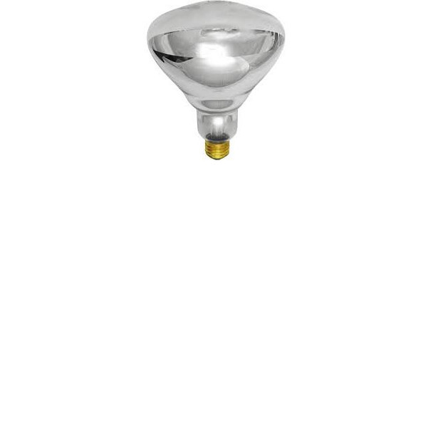 250R40/CL TEFLON 250W R40 Incandescent