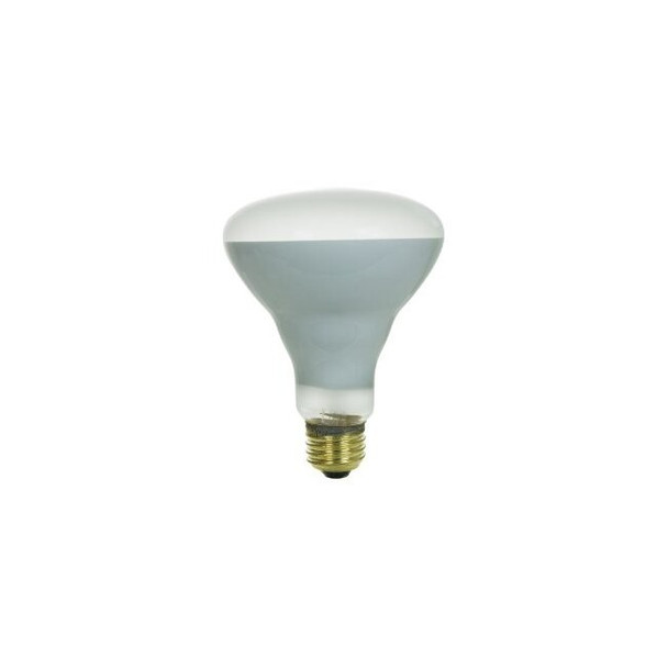65BR30/FL 120V 5000 Hour 65W Incandescent BR30 Flood