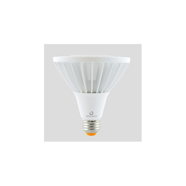 Green Creative 98213 25PAR38HO/940FL40/277V 25W LED PAR38 40° 4000K