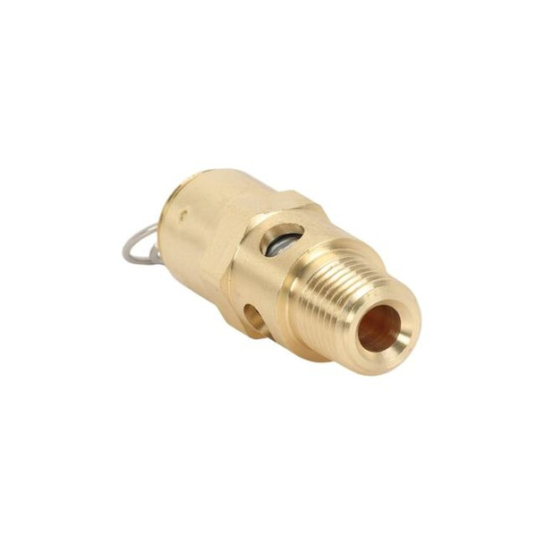Speedaire Safety Valve,1/4,Champion,Gardner Denver M2843