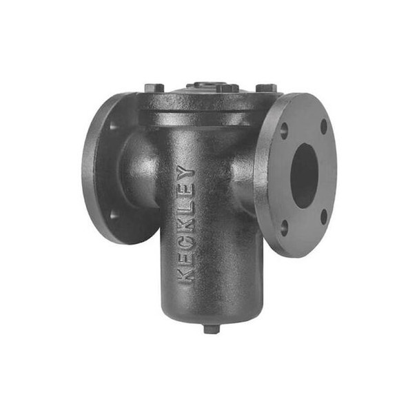 Keckley Basket Strainer, 6" Pipe, Flanged, Cast iron 61FFS-CI125P34-FBI-GFV