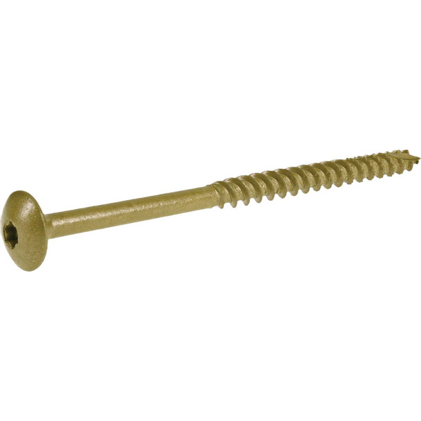 HILLMAN 20pc 5/16x4 Brz Lagscrew 47871