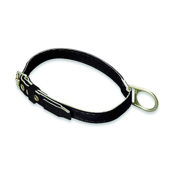 Body Belt, 1 D-Rings, Back Location, Stainless Steel, Includes Padding: No ,S