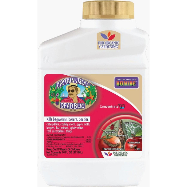 2526 Captain Jack 1 Pt. Dead Bug Brew Concentrate Insect Killer