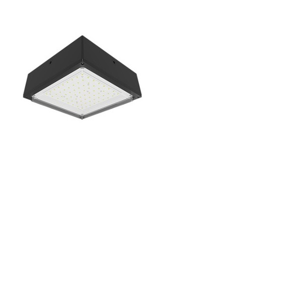 RAB Lighting VANLED52N 52W LED Canopy Light 4000K 120-277 Bronze