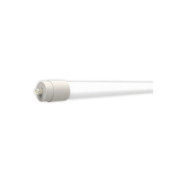 TCP LT8F43B250KBP 8' LED T8 Fa8 Base Single-Pin 42W 5000K Case/10