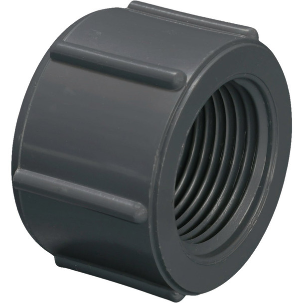 Charlotte Pipe 3/4 In. Gray Schedule 80 Feamle Threaded Cap PVC 08117  1200HA