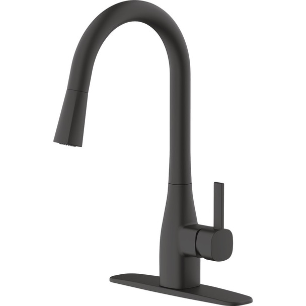 Home Impressions 1-Handle Pull-Down Kitchen Faucet, Matte Black FP4AF316BL-JPA1
