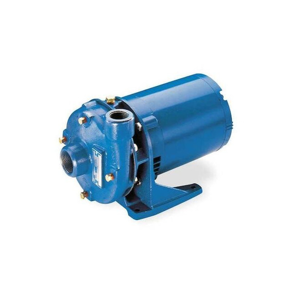 Goulds Water Technology Cast Iron 1 HP Centrifugal Pump 115/230V 2BF21012