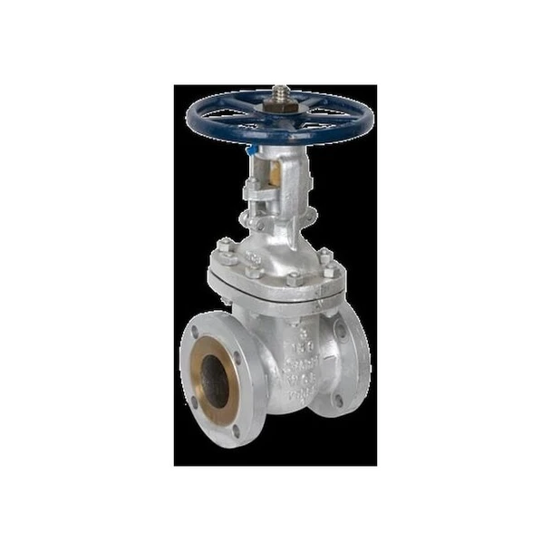 Sharpe Gate Valve,2",Carbon Steel,Flange 4371005200