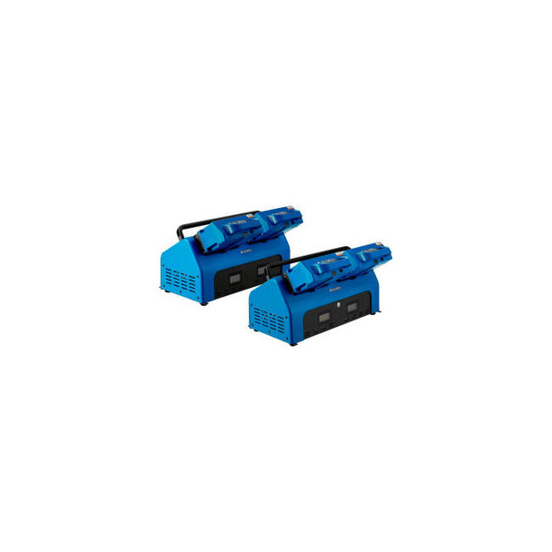 Global Industrial 4 LiFePO4 Hot Swappable Batteries Dual Dock & Charger System