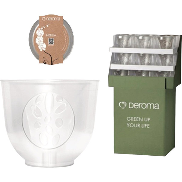 Deroma Nebula Orchid Pot Display (18-Piece) 9HY1Z000