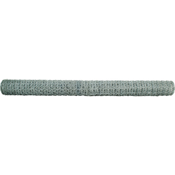Agway 1 In. x 2 Ft. x 50 Ft. 20-Gauge Black Poultry Netting 308411BKAG