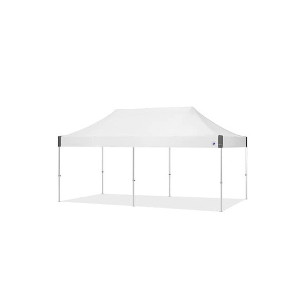 E-Z Up Endeavor Shelter,10x20 Ft.,Aluminum Gray END3A20KWH