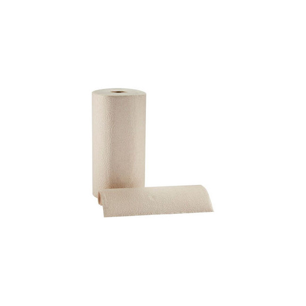 Pacific Blue Basic 2-Ply Recycled Perforated Paper Roll Towel By GP Pro Brown 12