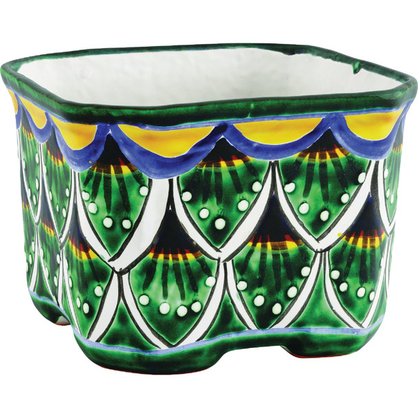 Avera Products 6 In. Peacock Cuadrada Planter APG026060-04-2113