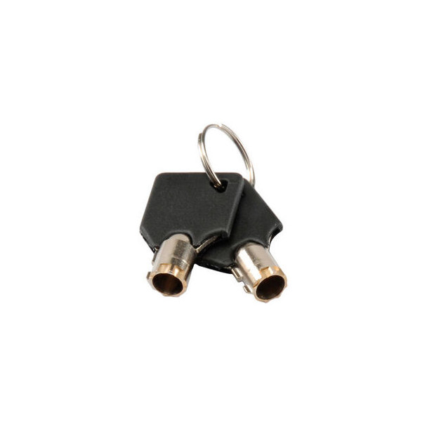 Global Industrial Replacement Keys (2) for Inter Office Mailboxes (443490 & 4434