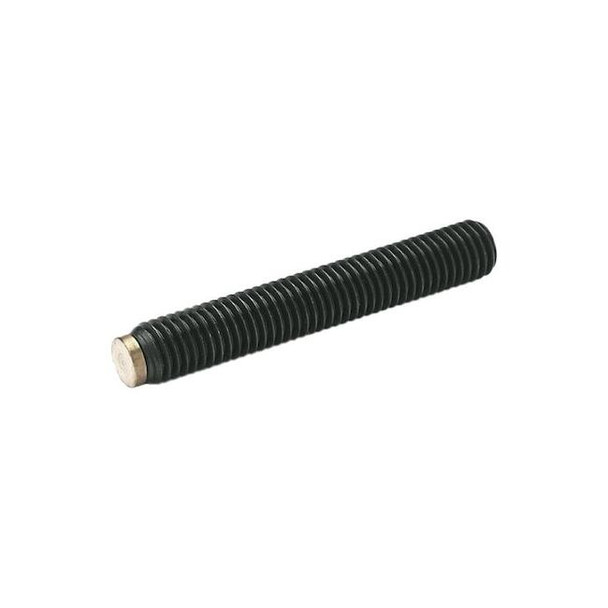 J.W. Winco SocketSetScrew,M4x0.70,Black,L:6mm 913.3-M4-6-MS