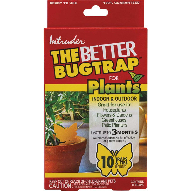 Intruder 10pk the Better Bugtrap 21085