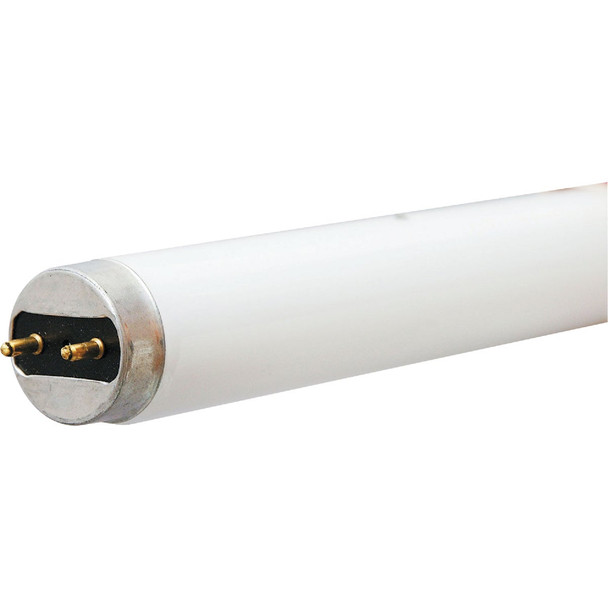 Philips 17w T8 Bw Fluor Tube 543363 Pack of 12