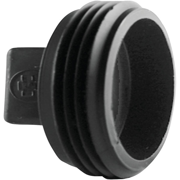 Charlotte Pipe 2 In. MIP Threaded ABS Plug ABS 00106  0800HA