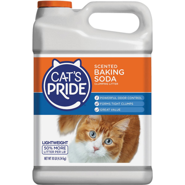 Oil Dri Cats Pride 10 Lb. Odor Control Cat Litter C01945-C60