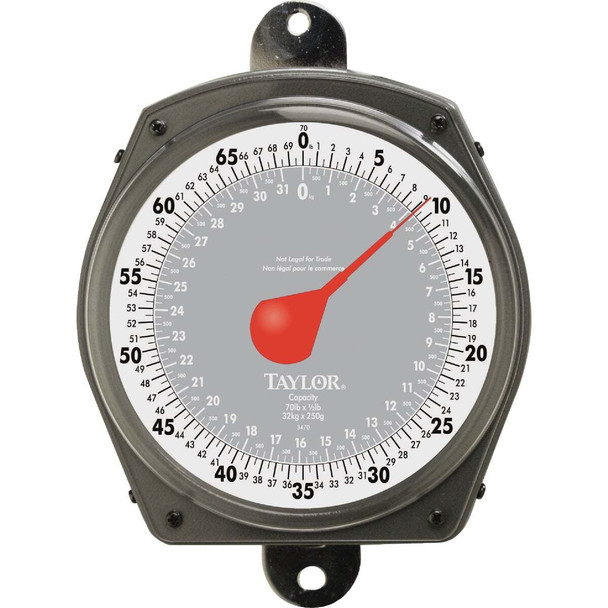 Taylor 70 Lb. Capacity Dial Hanging Scale 34704104