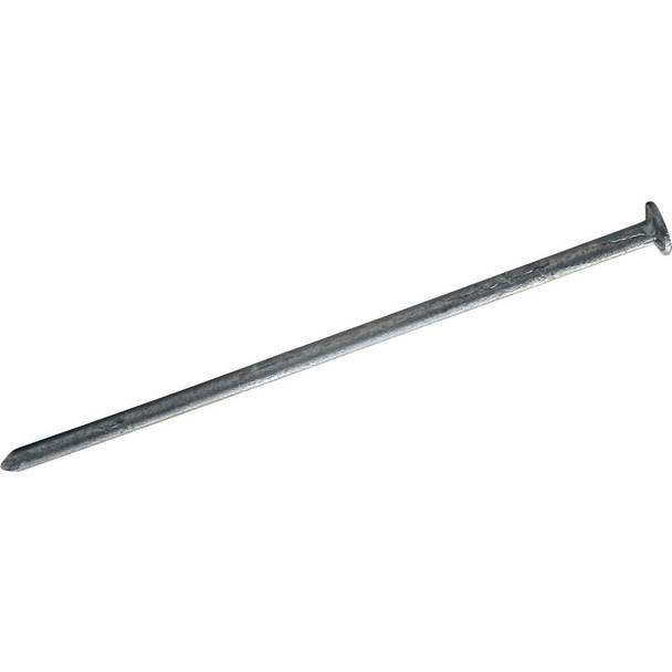 Maze 2-1/2 In. 13 ga Hot Dipped Galvanized Wood Siding Nails (590-Count, 5 Lb.)