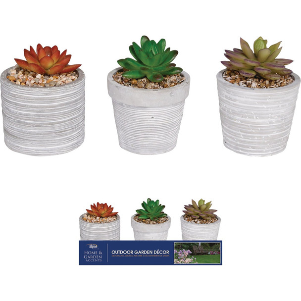 Alpine 5 In. Resin Decorative Succulent Pot Lawn Ornament KGD212ABB Pack of 9